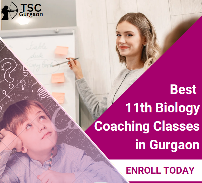 Best 11th Biology Coaching Classes in Gurgaon A Comprehensive Guide